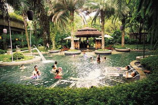 北碚 打好溫泉牌助推全域旅游提檔升級