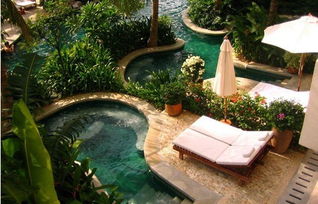 晨隆奧迪冬日深林溫泉派對 快來報名吧