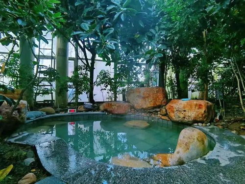 夢回瑯琊 之旅,臨沂城區兩日游這樣玩