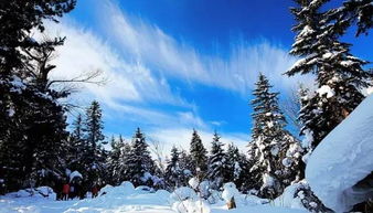原素旅游 上海 延吉 長白山天池 溫泉 朝鮮族特色辣白菜工廠體驗雙飛五日游 成人 2580