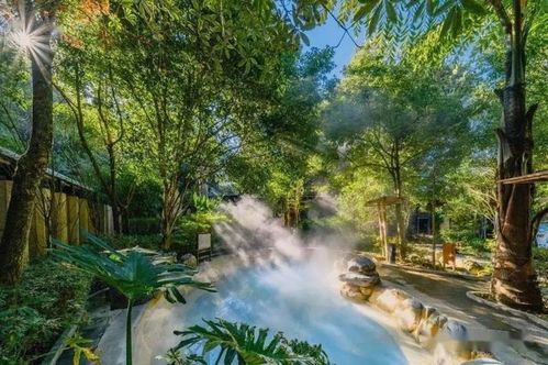 科學賦能,溫泉醫康養產業的更多可能