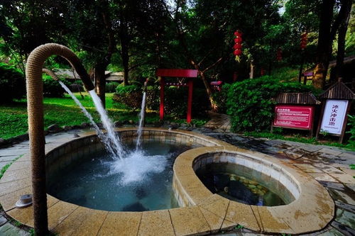 冬天正式上線,到清遠森波拉泡溫泉,感受夢幻森林游 廣州周邊游