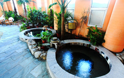 【玫瑰莊園溫泉假日酒店團購】玫瑰莊園溫泉票1張團購