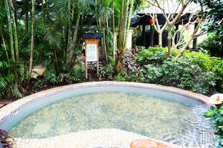 天冷泡溫泉吃東坡肉,惠州溫泉自駕游