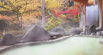 盤點2018日本簽證的一切 騷操作 ,旅游簽 工作簽 三年多次往返簽