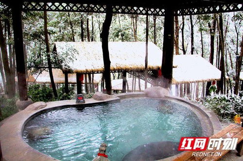 正月氣溫持續走低 降雪帶火張家界溫泉旅游