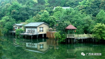 5月19 20日最后搶位 盤龍峽薰衣草節,千姿瀑布,水車王國,森林溫泉,入住景區五星酒店純玩2日 全區動車出發 旅游 網