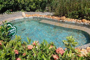 陽西咸水礦溫泉旅游度假山莊門票 溫泉門票 金馬國旅官網