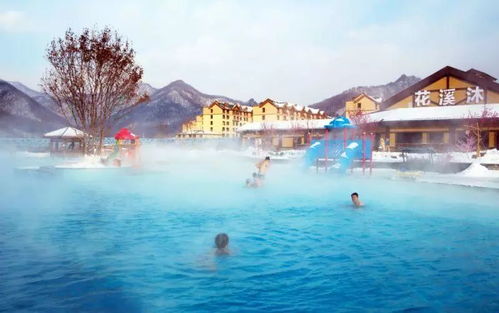 暖暖的溫泉火火的年