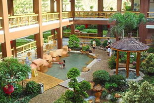 短途溫泉游進入高峰 業內建議 泡溫泉提前預訂