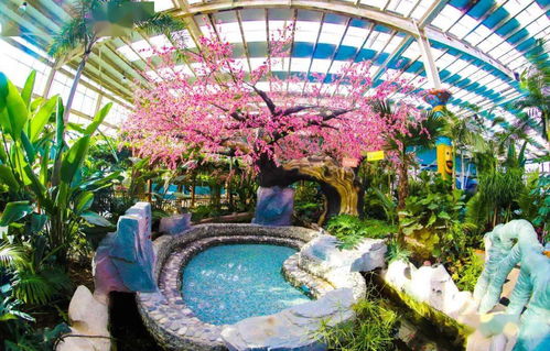 溫泉縣 端穩 生態碗 吃上 旅游飯