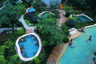 四川新推8條大峨眉區域精品旅游線路 景點豐富