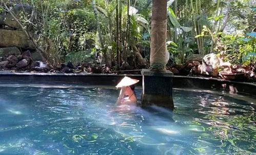 中國最美鄉村 全球優選生態旅游目的地魅力騰沖溫泉鮮氧之旅