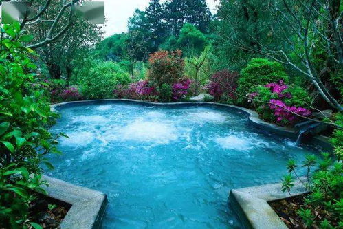 冬航季來了 秋風漸起時,邂逅騰沖那一泓泓溫暖的泉