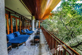 重慶北碚做強溫泉引擎，打造精品特色溫泉旅游