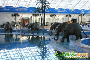 清明踏青，溫泉暖心——溫泉旅游特惠禮包大派送